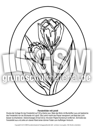 Fensterbild-Tulpe.pdf